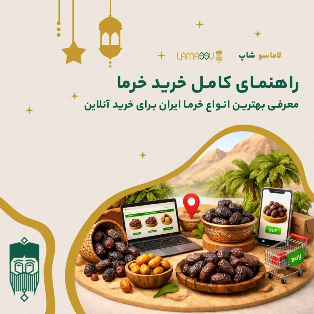 راهنمای کامل خرید خرما | معرفی بهترین انواع خرما ایران برای خرید آنلاین
